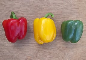 Capsicum