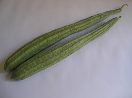 Ridge Gourd