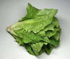 Lettuce