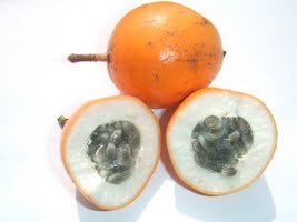 Passion Fruit